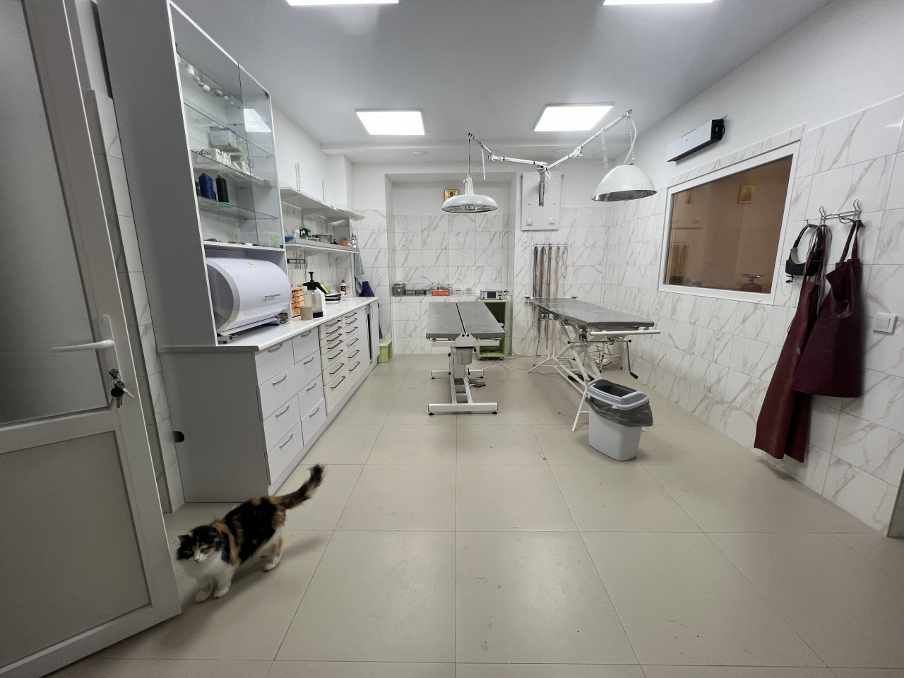 Сучасна операційна з котиком