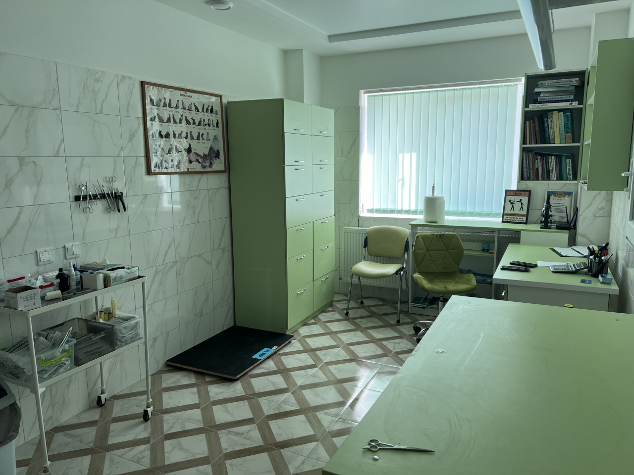 Клініка Айболить